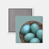Vogelnesten met blauwe Robin Eggs Magneet (Voorkant / Achterkant)