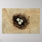 Vogelnestje met een moderne  ooster poster (Voorkant)