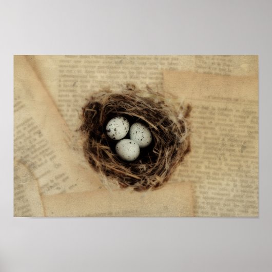 Vogelnestje met een moderne  ooster poster (Voorkant)