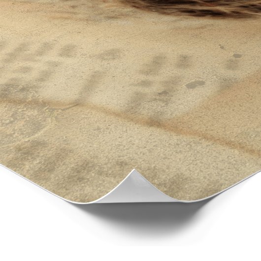 Vogelnestje met een moderne  ooster poster (Hoek)