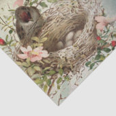  vogelnestmeisje Franse ontkoppeling van script Tissuepapier (Detail)