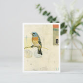 Vogelnr. 1 briefkaart (Staand voorkant)