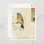 Vogelnr. 1 briefkaart (Voorkant / Achterkant)