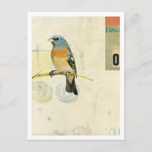 Vogelnr. 1 briefkaart (Voorkant)