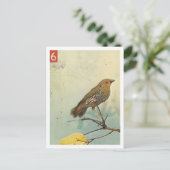 Vogelnr. 2 briefkaart (Staand voorkant)