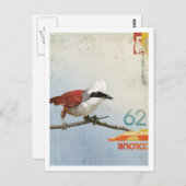 Vogelnr. 3 briefkaart (Voorkant / Achterkant)