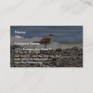 Vogeloceaanstranden Visitekaartje