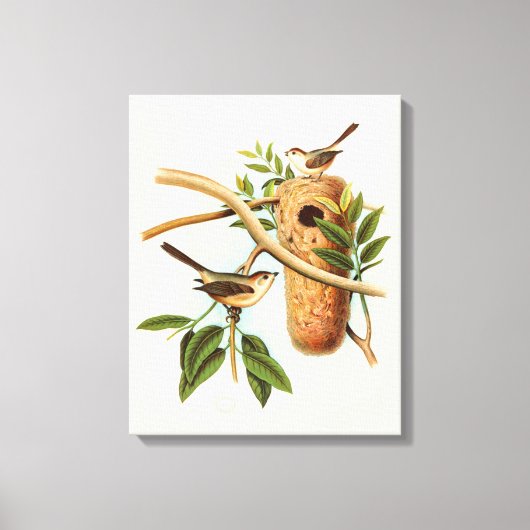 Vogelpaar op een nestveld op een tak canvas afdruk (Voorkant)