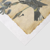 Vogelpapier 32 - Ontmantelingspagina Tissuepapier (Detail)