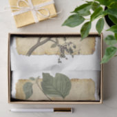 Vogelpapier 33 Ontkoppeling Tissuepapier (Geschenk)