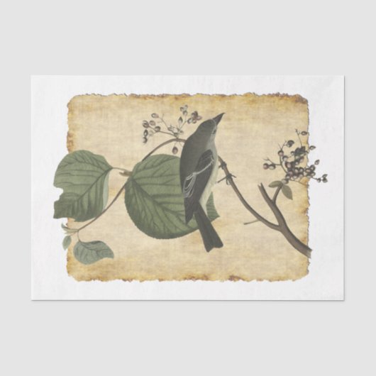 Vogelpapier 33 Ontkoppeling Tissuepapier (Voorkant)