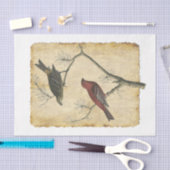 Vogelpapier 34 Ontkoppeling Tissuepapier (Craft)