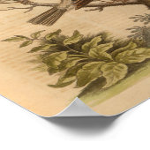 vogelpik Bruin afdrukken Poster (Hoek)