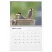 Vogelplezier bij de fontein kalender (Feb 2026)