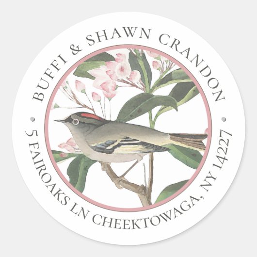 vogelpluim voor roze ventilatorenvelop adres ronde sticker (Voorkant)