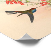 vogelplukkers poster (Hoek)