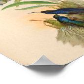  vogelplukkers poster (Hoek)