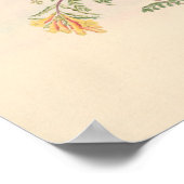  vogelplukkers poster (Hoek)