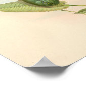  vogelplukkers poster (Hoek)