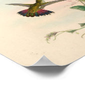 vogelplukkers poster (Hoek)