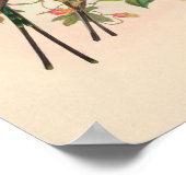 vogelplukkers poster (Hoek)