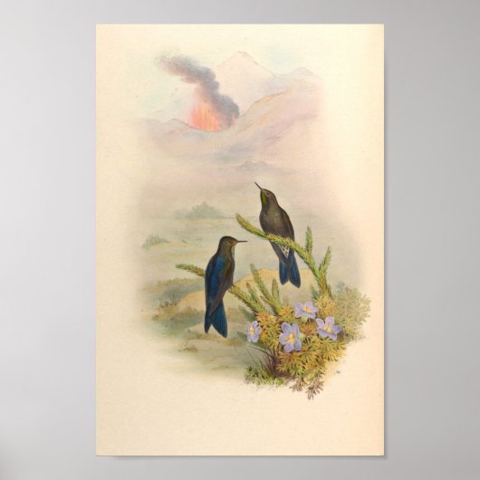 vogelplukkers poster (Voorkant)