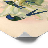  vogelplukkers poster (Hoek)