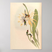  vogelplukkers poster (Voorkant)