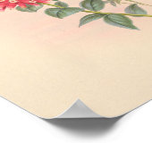 vogelplukkers poster (Hoek)