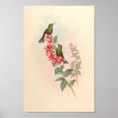 vogelplukkers poster (Voorkant)