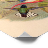  vogelplukkers poster (Hoek)