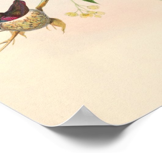 vogelplukkers poster (Hoek)