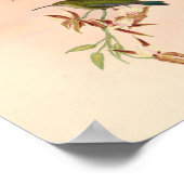 vogelplukkers poster (Hoek)