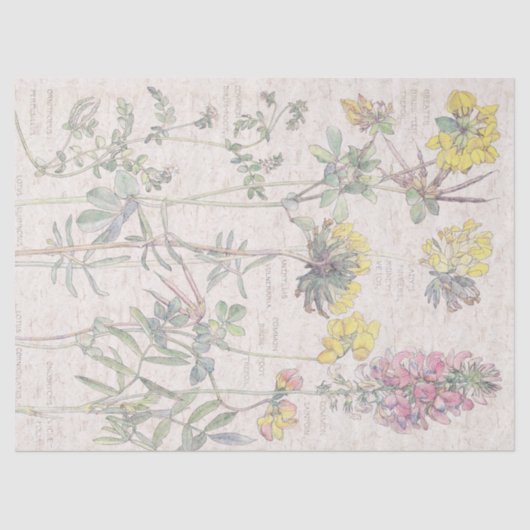  vogelpootflespapier tissuepapier (Voorkant)