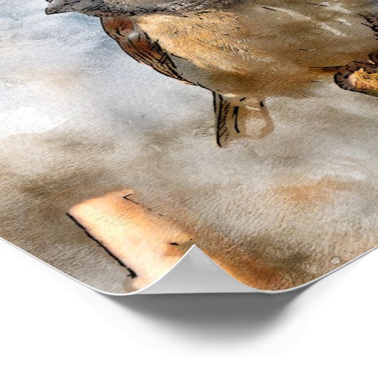 VogelPoster Poster (Hoek)