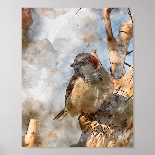 VogelPoster Poster (Voorkant)