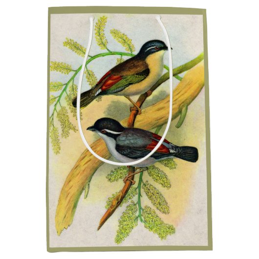  vogelprint medium cadeauzakje (Voorkant)