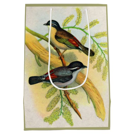  vogelprint medium cadeauzakje (Achterkant)