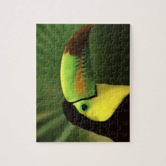 Vogelpuzzel van Toucan Legpuzzel (Verticaal)