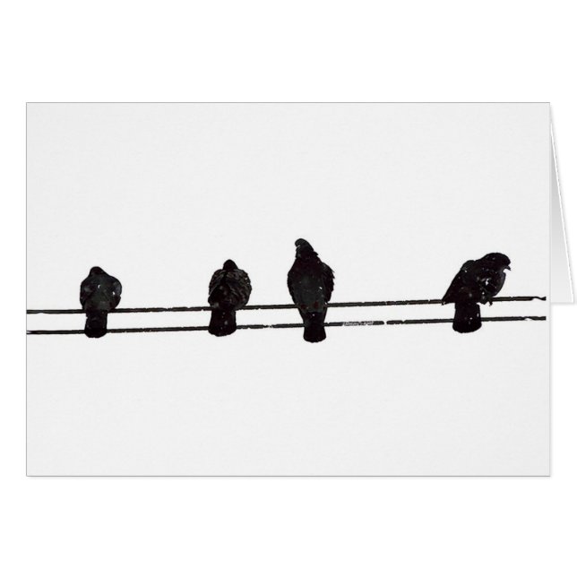 vogels (Voorkant Horizontaal)