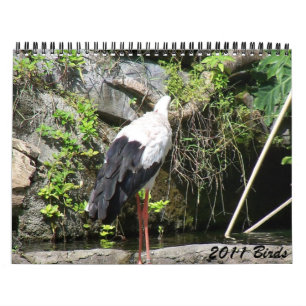 Vogels 2011 kalender