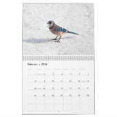 Vogels 2017 kalender (Feb 2026)