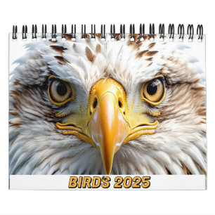 VOGELS 2025 KALENDER TWITCHERS DELIGHT!
