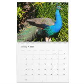 Vogels 2027 kalender (Jan 2027)