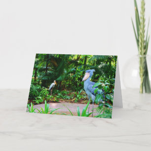 Vogels bij het Wenskaart van de Dierentuin van Kaart