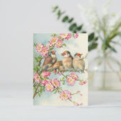  vogels briefkaart (Staand voorkant)