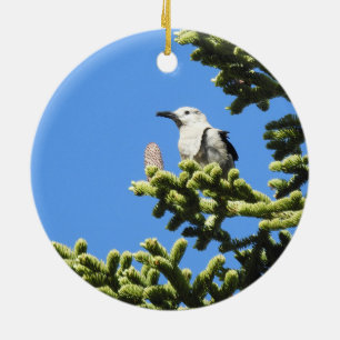 Vogels, Clark's Nutkraker, wilde dieren, sierbloem Keramisch Ornament