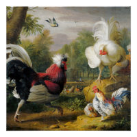 vogels De hanen vechten