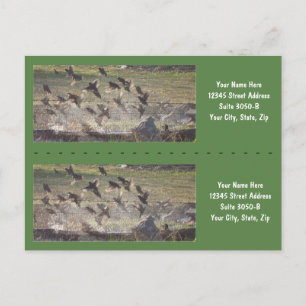 Vogels die de Boekmarkers van de Stijging - pas aa Briefkaart