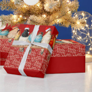 Vogels die de kerstman dragen zitten op een baard cadeaupapier